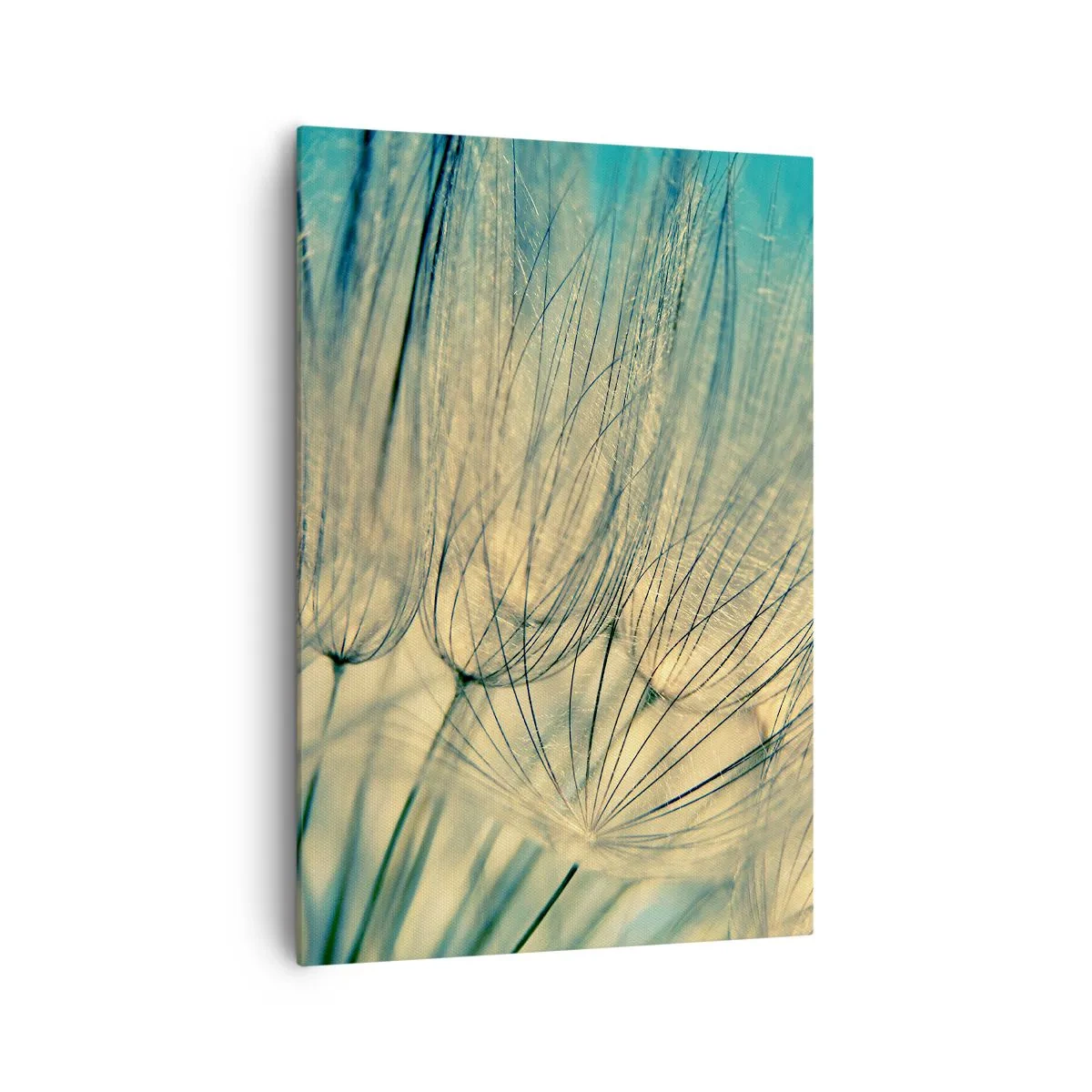 Obraz na płótnie - Makrofotografia dmuchawców w świetle dziennym - 70x100cm - W oczekiwaniu na wiatr - Nowoczesna dekoracja ścienna do salonu i sypialni ARTTOR