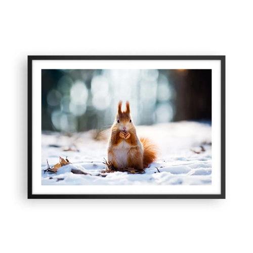 Plakat w czarnej ramie - Wiewiórka w zimowym krajobrazie - 70x50cm - I co tak patrzysz? - Nowoczesna dekoracja ścienna do salonu i sypialni ARTTOR