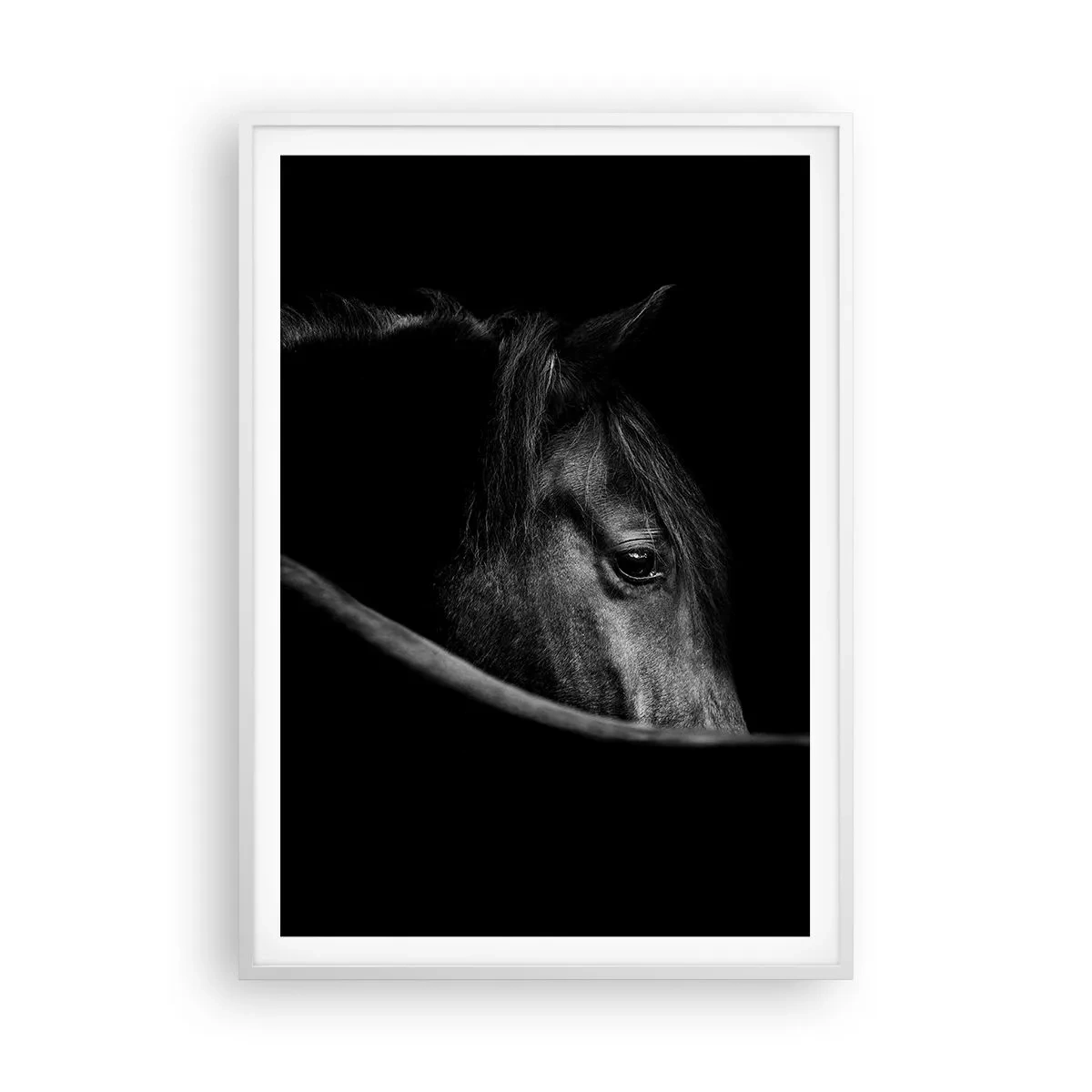 Plakat w białej ramie - Czarny książę - 70x100 cm