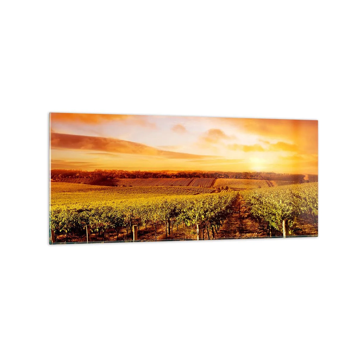 Obraz na szkle - Winnica o zachodzie słońca z ciepłymi odcieniami nieba - 120x50cm - Delikatnie owocowe z nutą słońca - Nowoczesna dekoracja ścienna do salonu i sypialni ARTTOR