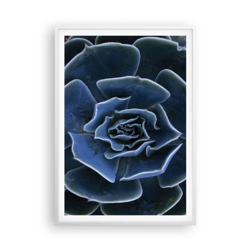 Plakat w białej ramie - Kwiat pustyni - 70x100 cm
