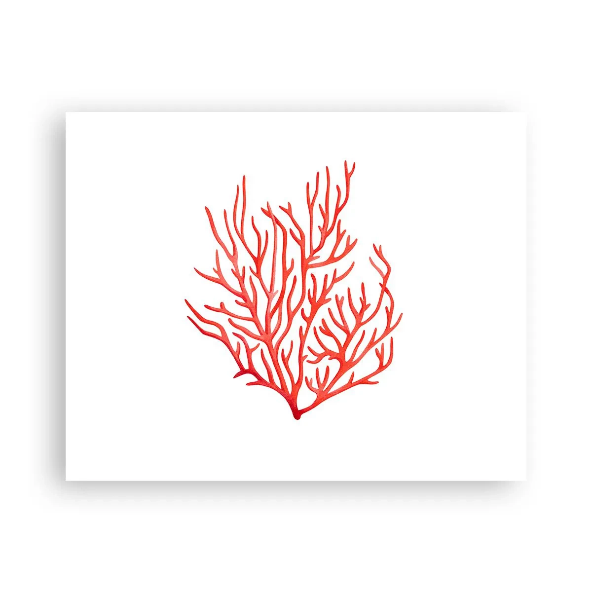 Plakat - Koralowy filigran - 50x40 cm