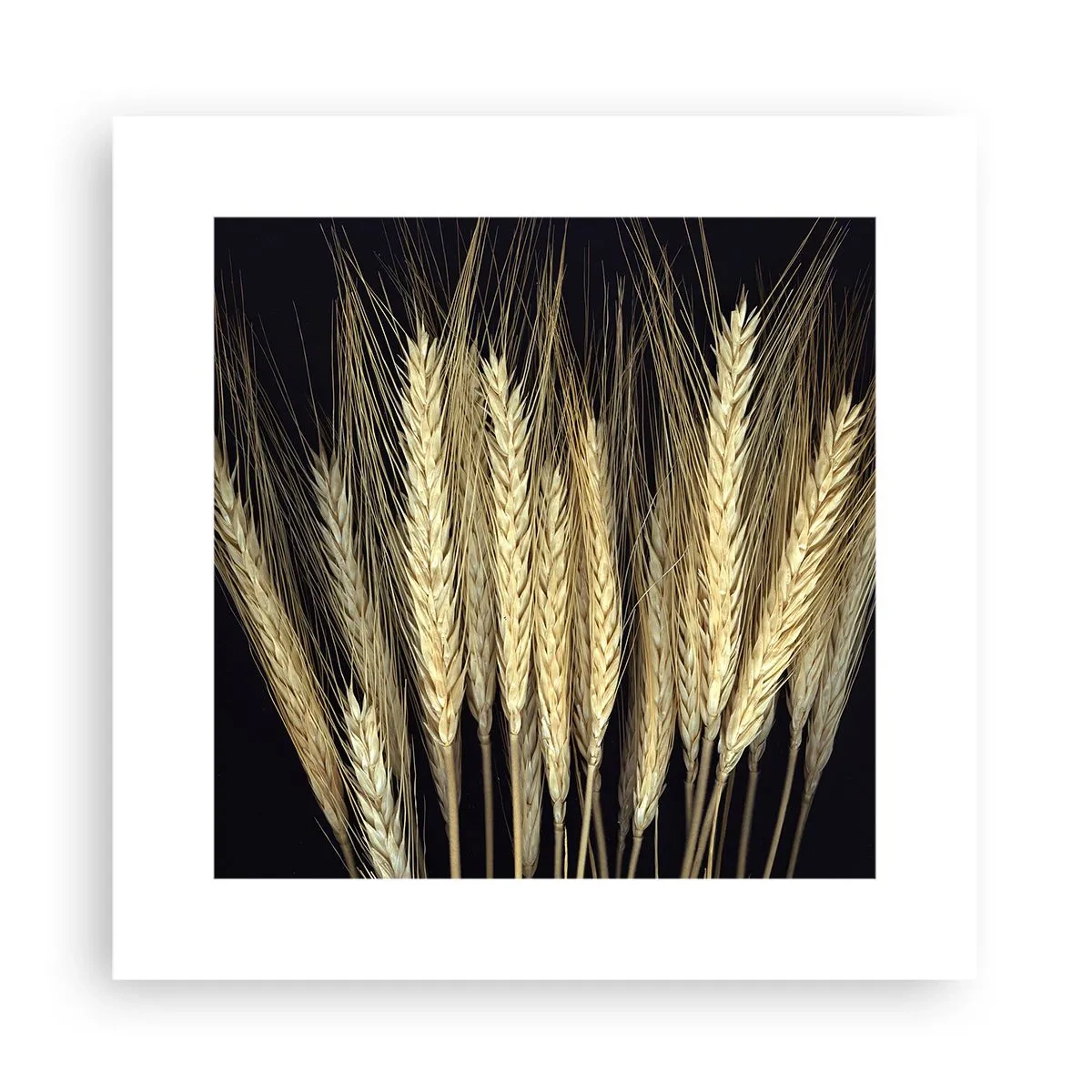 Plakat - Rustykalna magia - 30x30 cm