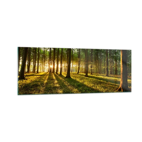 Obraz na szkle - Zachodzące słońce w lesie liściastym - 140x50cm - Fotografia wszystkich wiosen - Nowoczesna dekoracja ścienna do salonu i sypialni ARTTOR