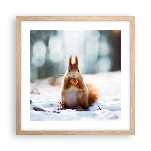 Plakat w ramie jasny dąb - I co tak patrzysz? - 40x40 cm