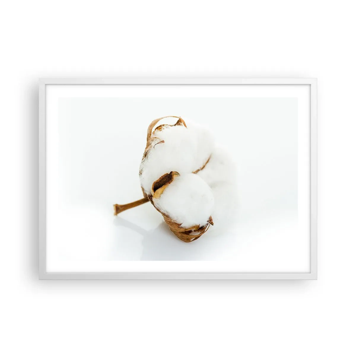Plakat w białej ramie - Miękka z natury - 70x50 cm