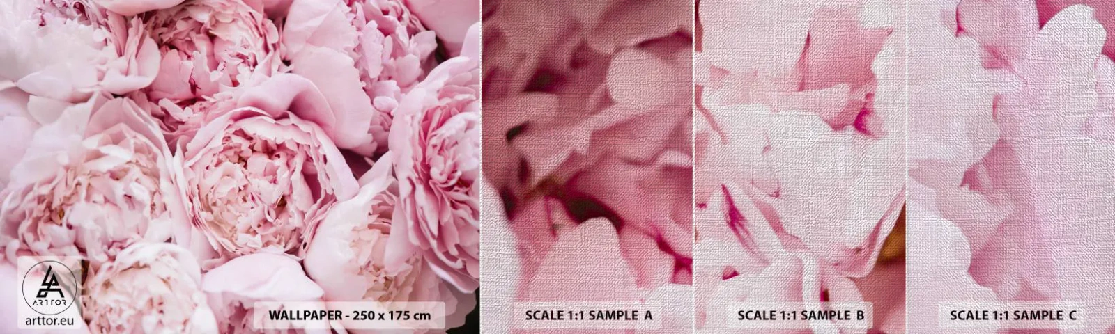 Fototapeta Próbka Premium Canvas - Przytulone i pachnące - Piwonia, Kwiaty, Bukiet Kwiatów - 100x30 cm