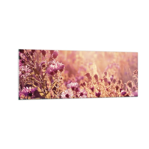 Obraz na szkle - Łąka w świetle zachodzącego słońca - 140x50cm - Przed odejściem lata - Nowoczesna dekoracja ścienna do salonu i sypialni ARTTOR