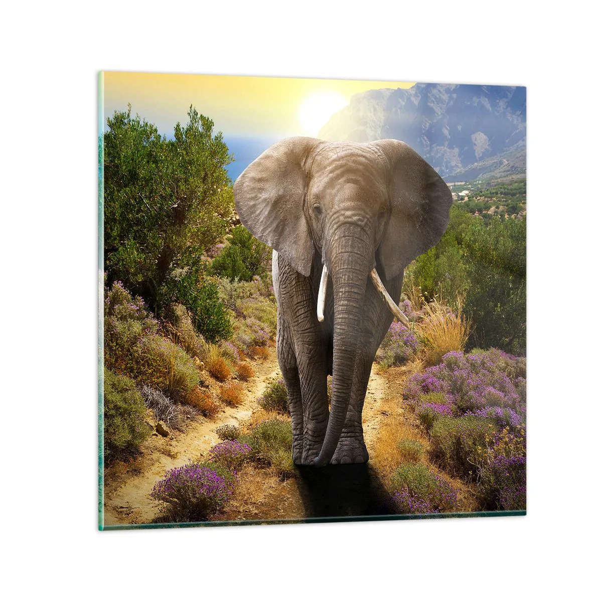 Obraz na szkle - Tak wyglądał Eden - 50x50 cm