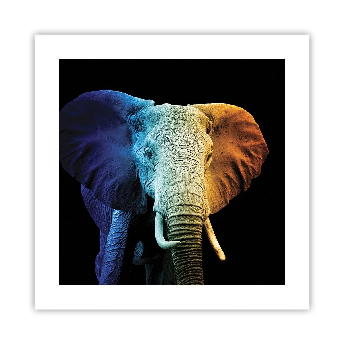 Plakat - Ekscentryk, nie dziwak - 40x40 cm