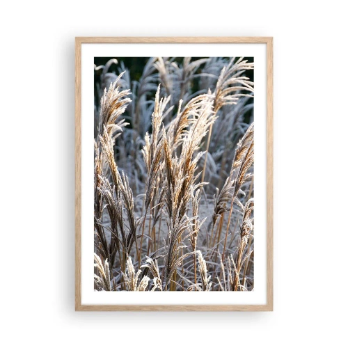Plakat w ramie jasny dąb - Szronem ustrojone - 50x70 cm