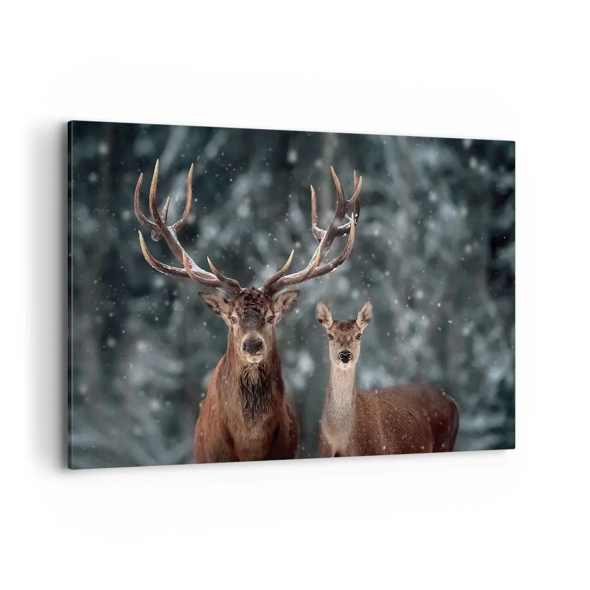 Obraz na płótnie - Jelenie w zimowym lesie pokrytym śniegiem - 120x80cm - Pan lasu z małżonką - Nowoczesna dekoracja ścienna do salonu, kuchni i sypialni ARTTOR