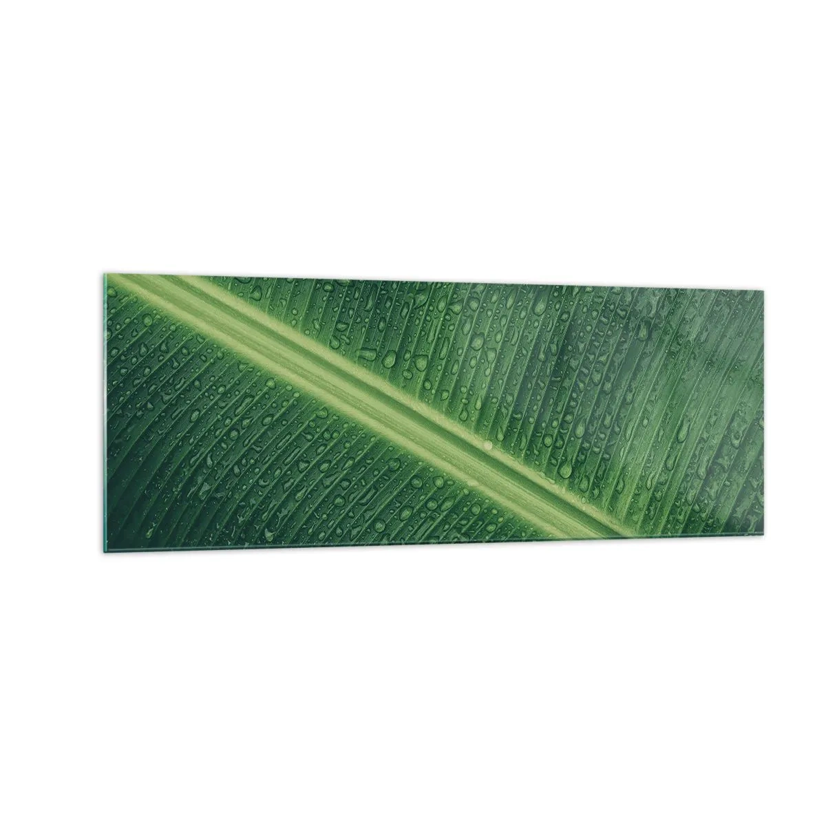 Obraz na szkle - Zielony liść z kroplami wody na powierzchni - 140x50cm - Struktura zieleni - Nowoczesna dekoracja ścienna do salonu i sypialni ARTTOR