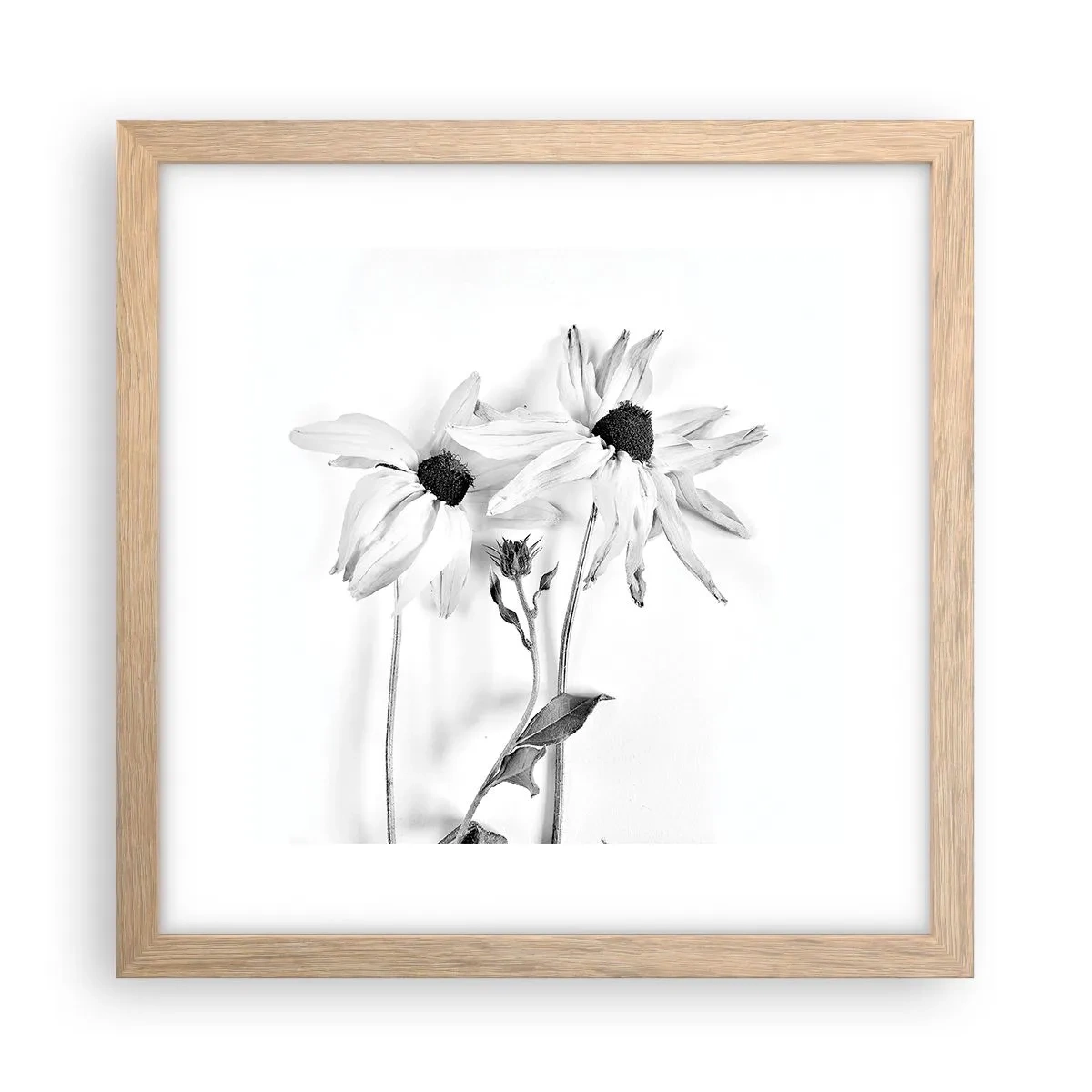 Plakat w ramie jasny dąb - Nikt nie chce być sam - 30x30 cm