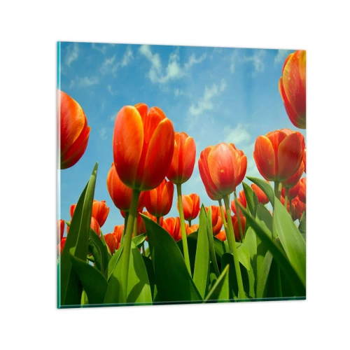 Obraz na szkle - Oprócz błękitnego nieba nic im w życiu nie potrzeba - 60x60 cm