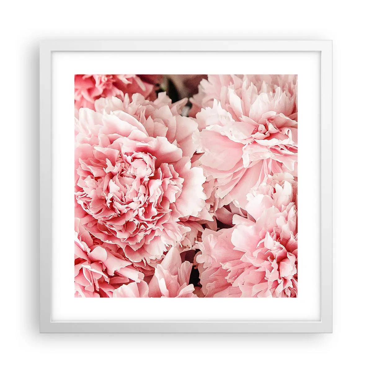Plakat w białej ramie - Różowe marzenie - 40x40 cm