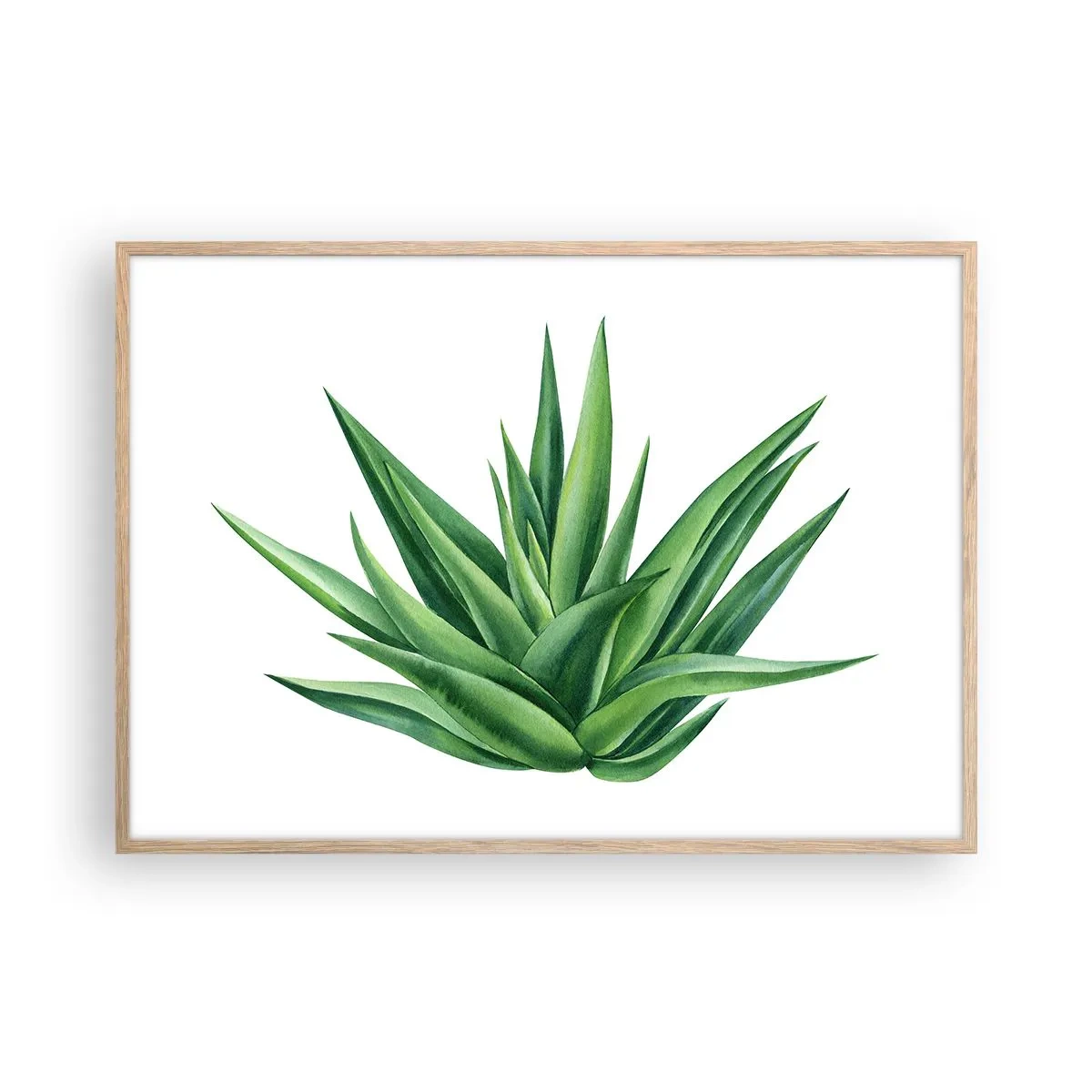 Plakat w ramie jasny dąb - Zieleń – siła – życie - 100x70 cm