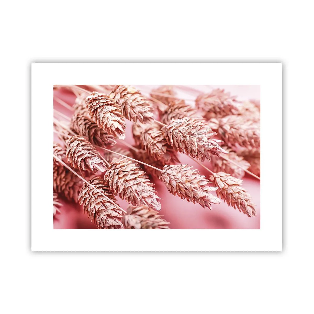 Plakat - Kwietna kaskada w różu - 40x30 cm