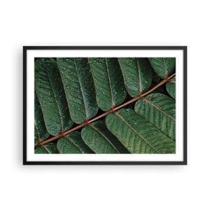 Plakat w czarnej ramie - Zielone liście z kroplami rosy w makro ujęciu - 70x50cm - W zielonym rytmie - Nowoczesna dekoracja ścienna do salonu i sypialni ARTTOR