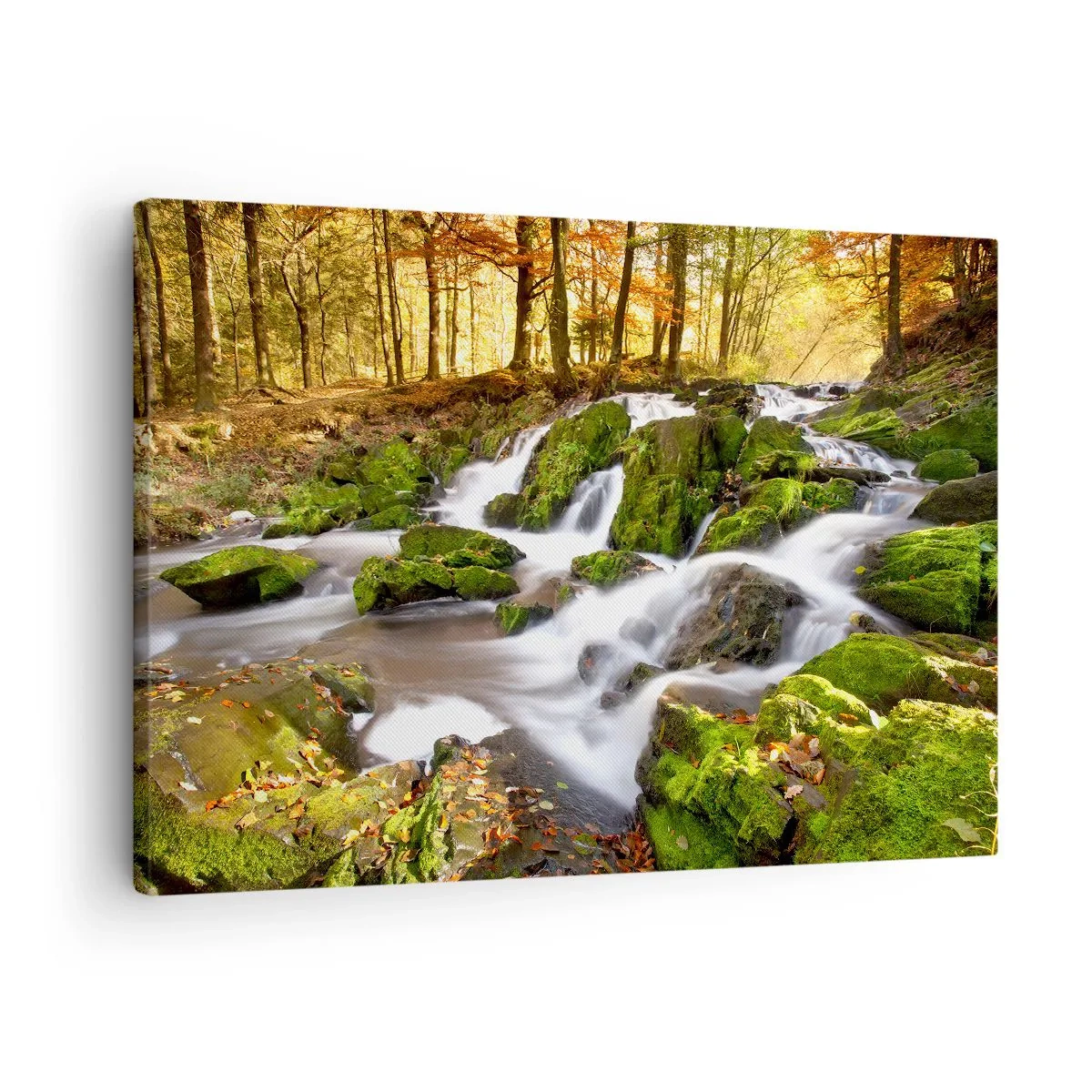 Obraz na płótnie - Zalesiony krajobraz z wodospadem otoczonym mchem - 70x50cm - Bystro przez jesienny las - Nowoczesna dekoracja ścienna do salonu i sypialni ARTTOR