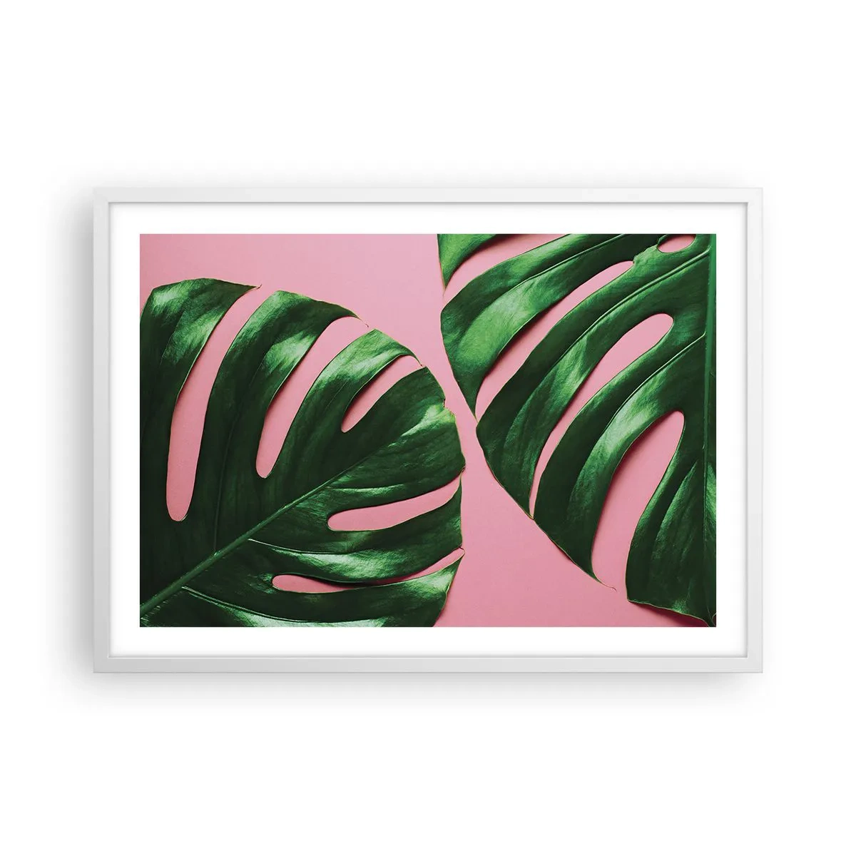 Plakat w białej ramie - Zielone rendez-vous - 70x50 cm