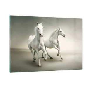 Obraz na szkle - Dwa białe konie w biegu na jasnym tle - 120x80cm - White power! - Nowoczesna dekoracja ścienna do salonu, kuchni i sypialni ARTTOR