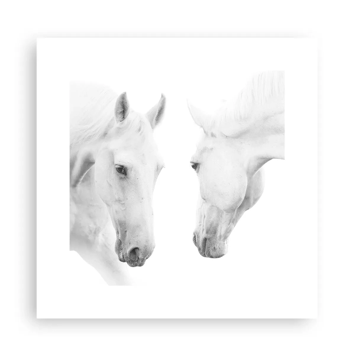 Plakat - Czy to jest przyjaźń…? - 30x30 cm