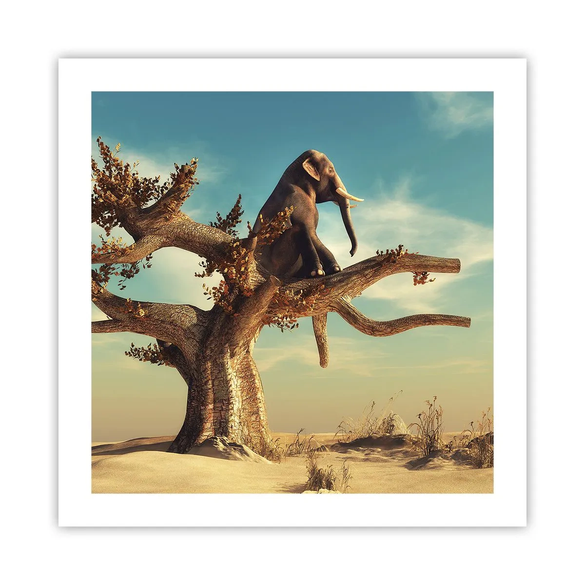 Plakat - Nowy punkt widzenia - 50x50 cm