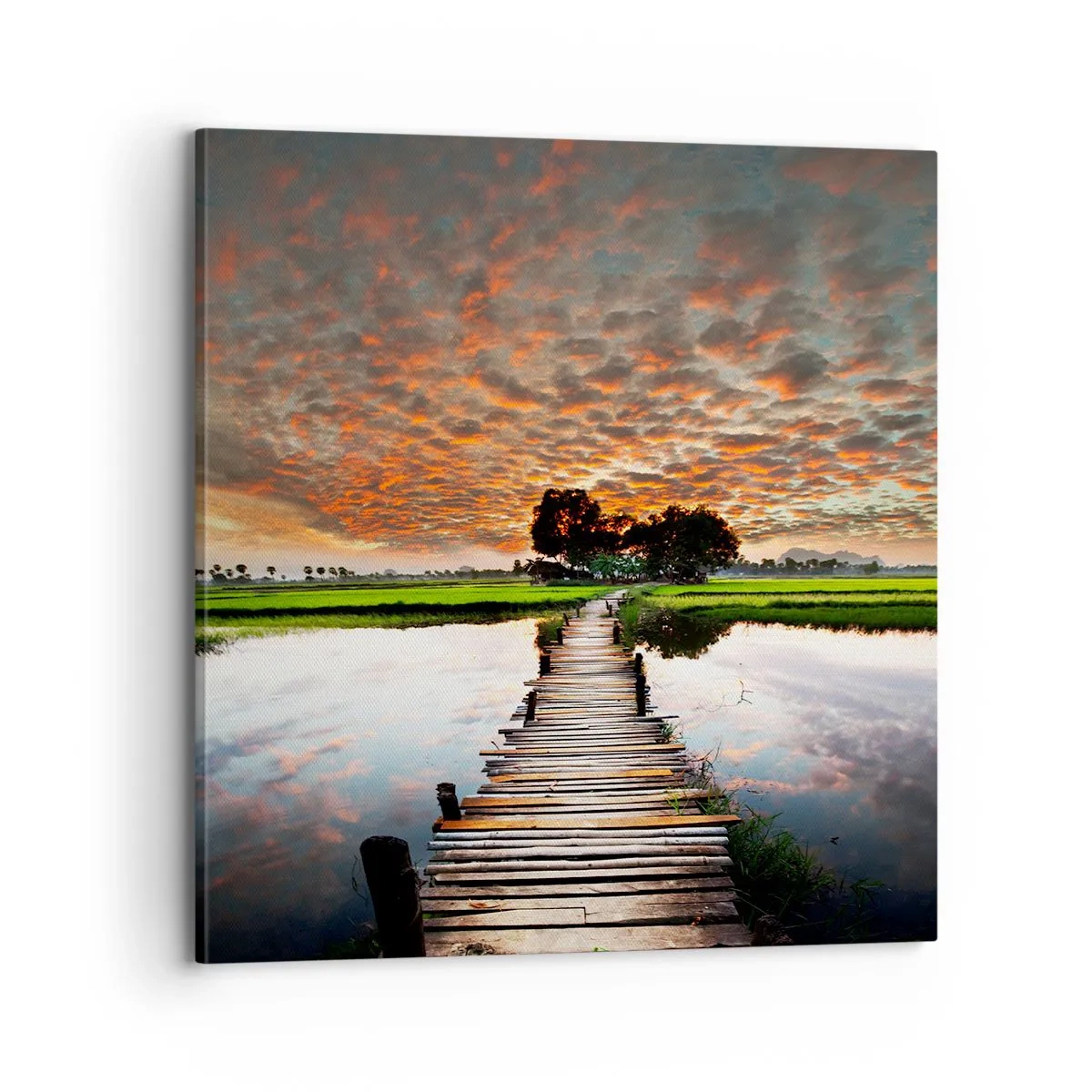 Obraz na płótnie - Rozłóż ramiona - oddychaj  - 70x70 cm