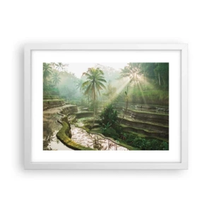 Plakat w białej ramie - Dorastać w słońcu - 40x30 cm