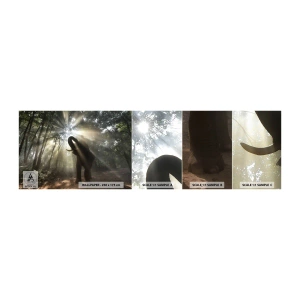 Fototapeta Próbka Samoprzylepna Deluxe Sticker - Pod szczęśliwą gwiazdą - Krajobraz, Słoń, Dżungla - 100x30 cm