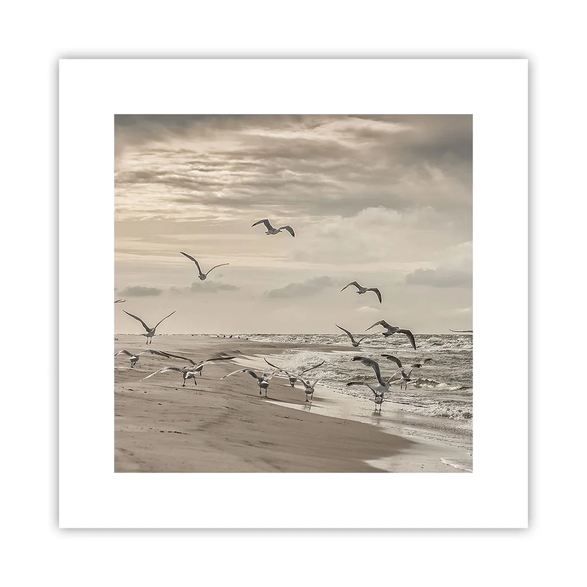 Plakat - Morza szum, ptaków śpiew - 30x30 cm