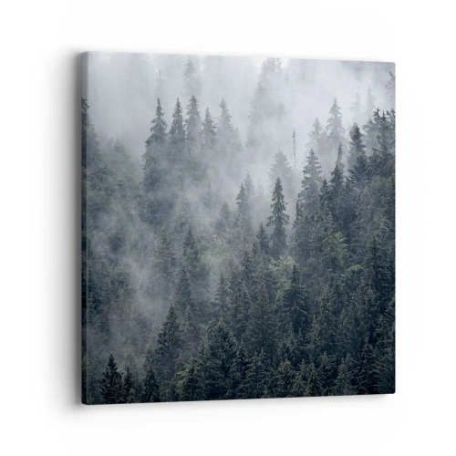 Obraz na płótnie - Leśny świt - 40x40 cm