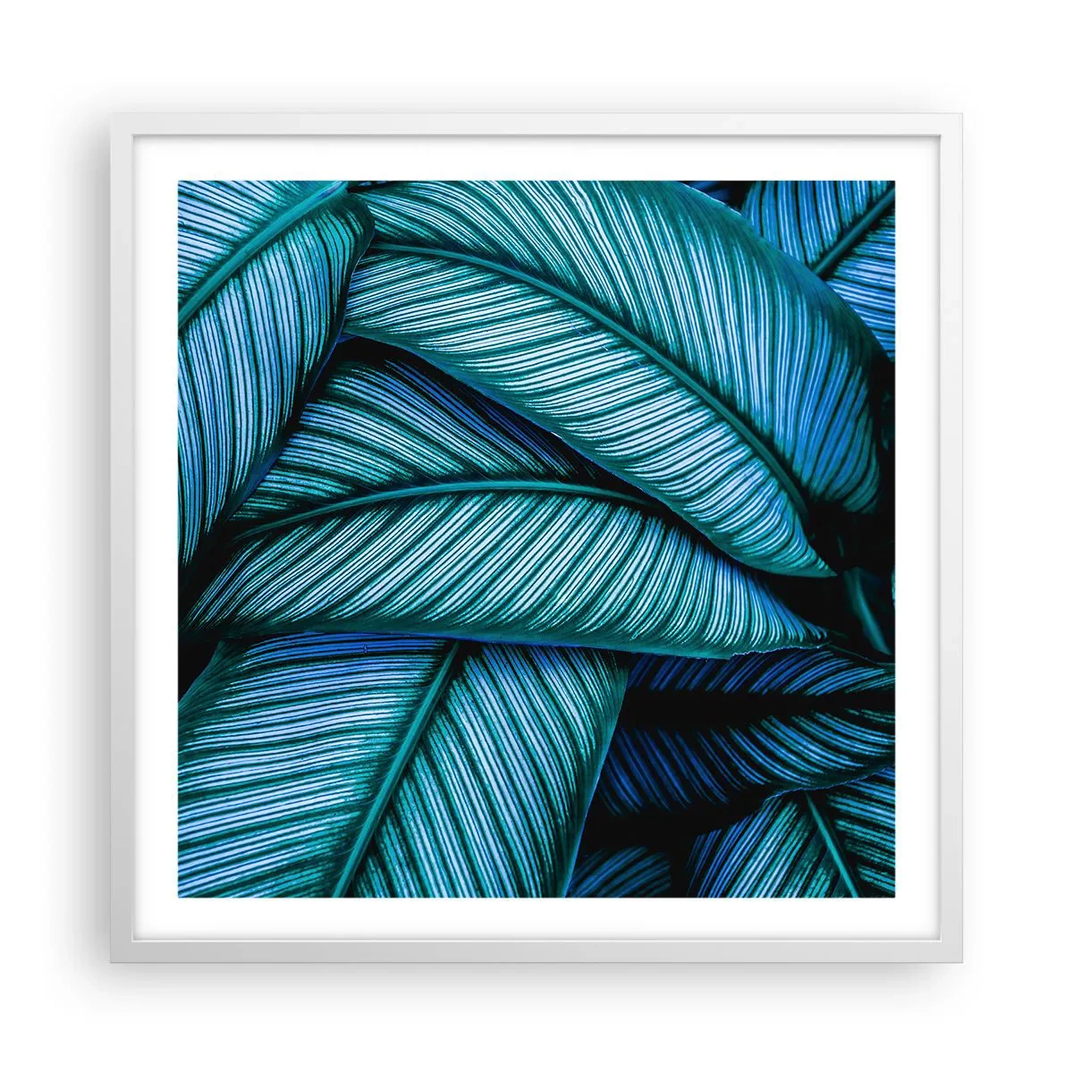 Plakat w białej ramie - Linie życia - 60x60 cm