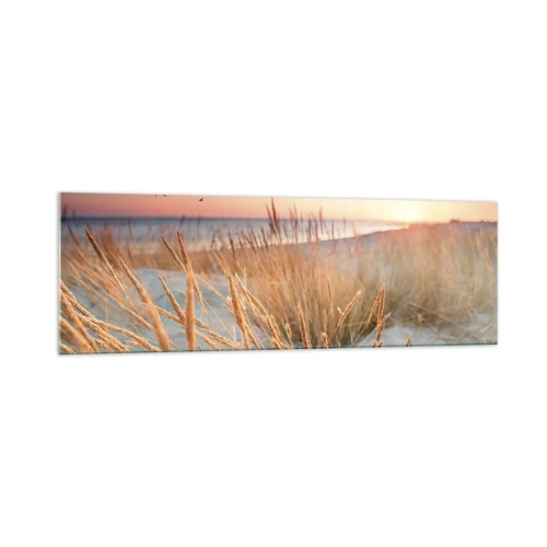 Obraz na szkle - Plaża o zachodzie słońca z wysokimi trawami - 160x50cm - Bałtycka kołysanka - Nowoczesna dekoracja ścienna do salonu i sypialni ARTTOR