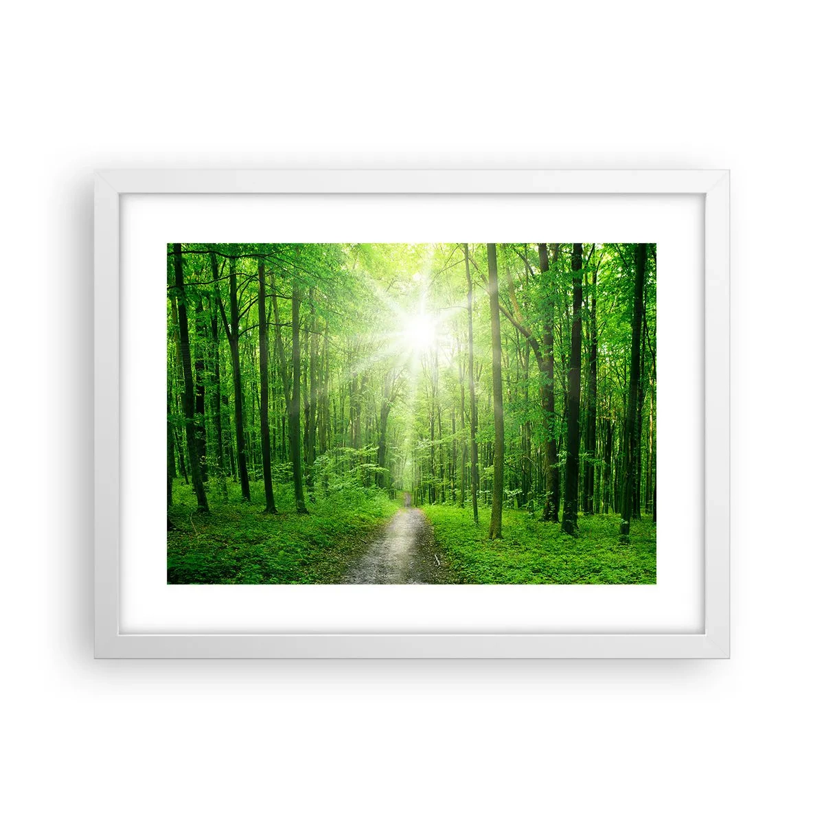 Plakat w białej ramie - Zielona katedra - 40x30 cm