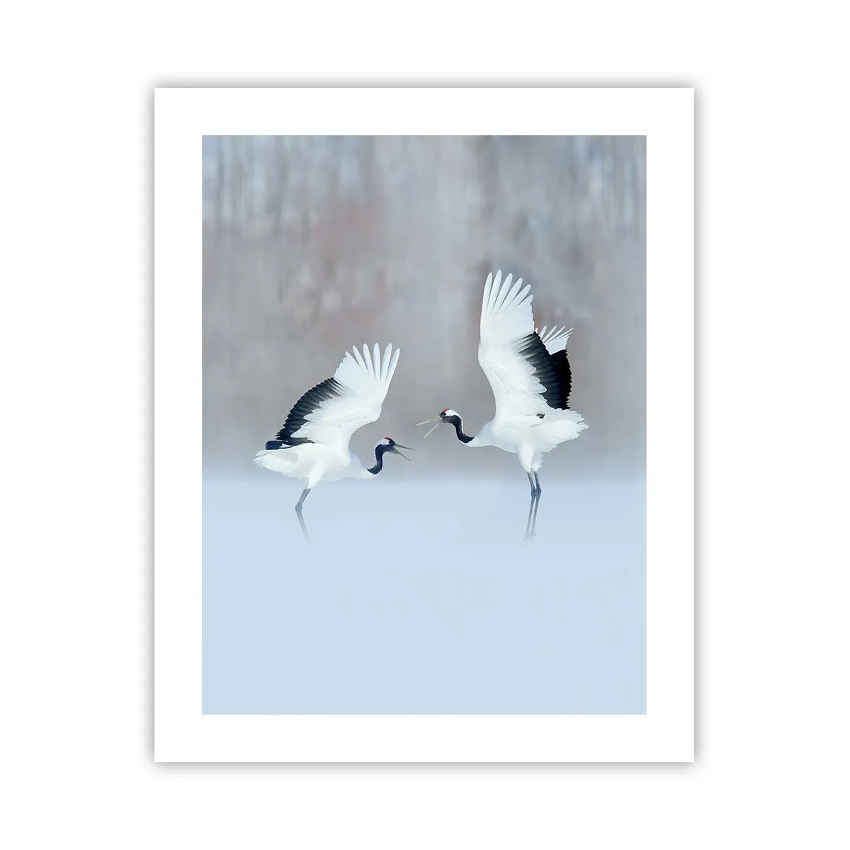 Plakat - Taniec we mgle - 40x50 cm