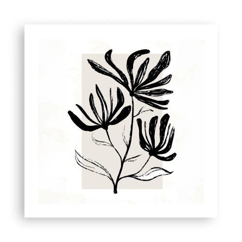 Plakat - Szkic do zielnika - 50x50 cm