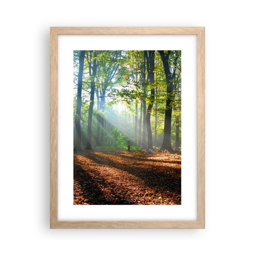 Plakat w ramie jasny dąb - Blaski i cienie - 30x40 cm