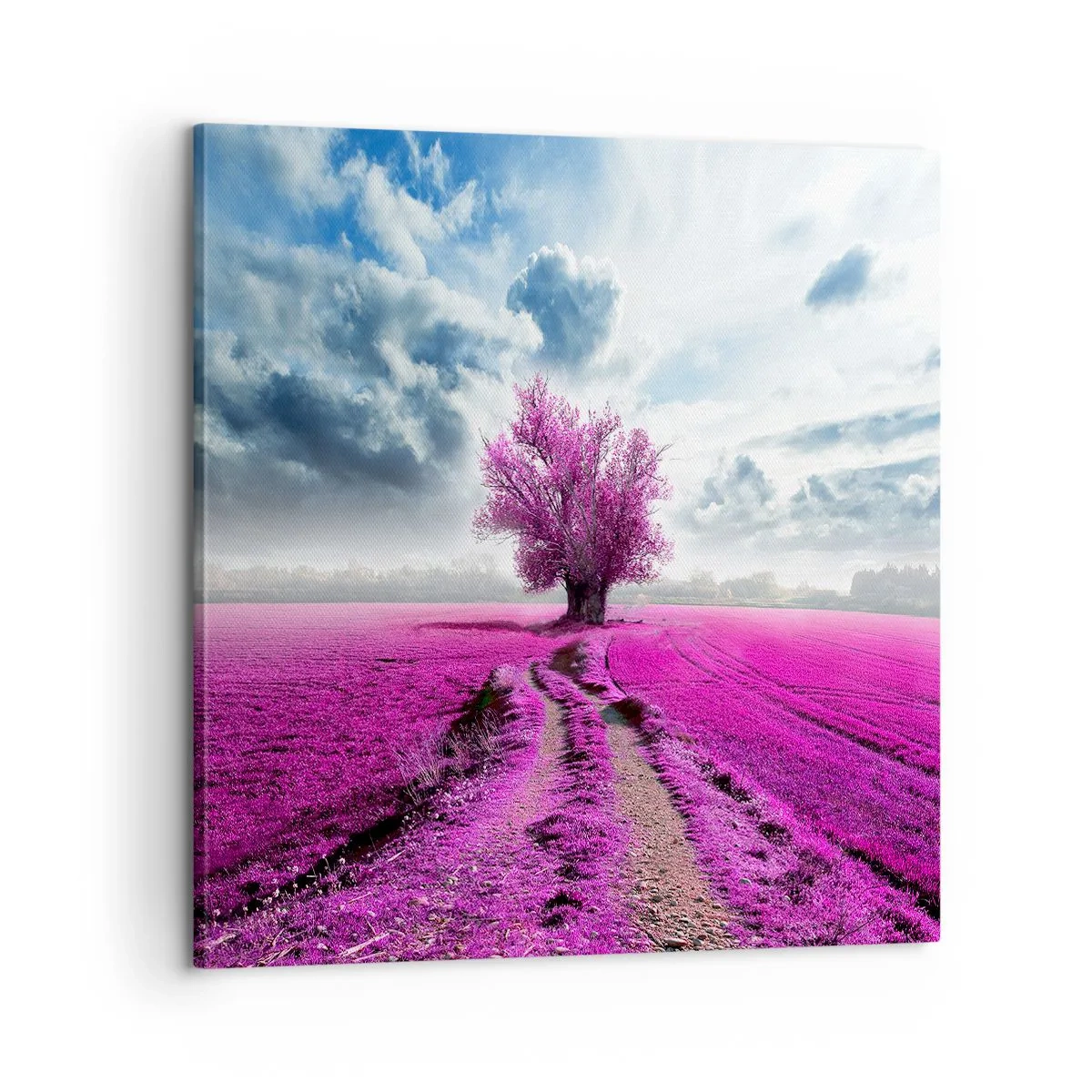 Obraz na płótnie - Wrzosowisko - uroczysko - 60x60 cm