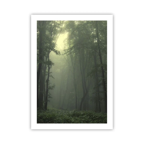Plakat - Mgliste drzewa w zielonym lesie - 50x70cm - Zanim się obudzi - Nowoczesna dekoracja ścienna do salonu, kuchni i sypialni ARTTOR