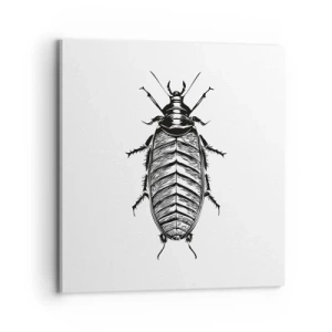 Obraz na płótnie - Co za okaz! - 70x70 cm