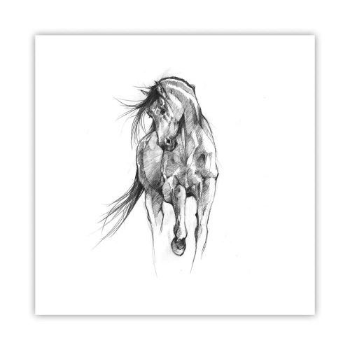 Plakat - We wdzięcznym kłusie - 40x40 cm