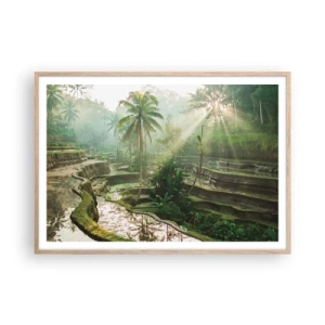 Plakat w ramie jasny dąb - Dorastać w słońcu - 100x70 cm