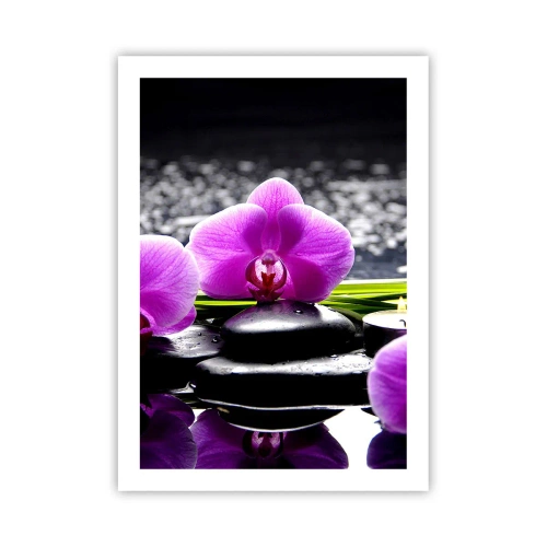 Plakat - Fioletowa orchidea na tle kamieni i wody w klimacie spa - 50x70cm - Utonąć w ciszy i spokoju - Nowoczesna dekoracja ścienna do salonu, kuchni i sypialni ARTTOR
