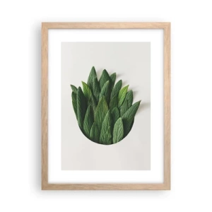 Plakat w ramie jasny dąb - Nieposkromiona ciekawość - 30x40 cm