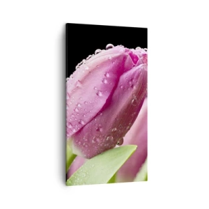 Obraz na płótnie - Liliowy sen w rosie - 45x80 cm
