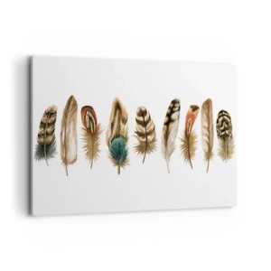 Obraz na płótnie - Dekoracyjny motyw kolekcji różnorodnych piór - 100x70cm - Pierzasta wariacja - Nowoczesna dekoracja ścienna do salonu, kuchni i sypialni ARTTOR