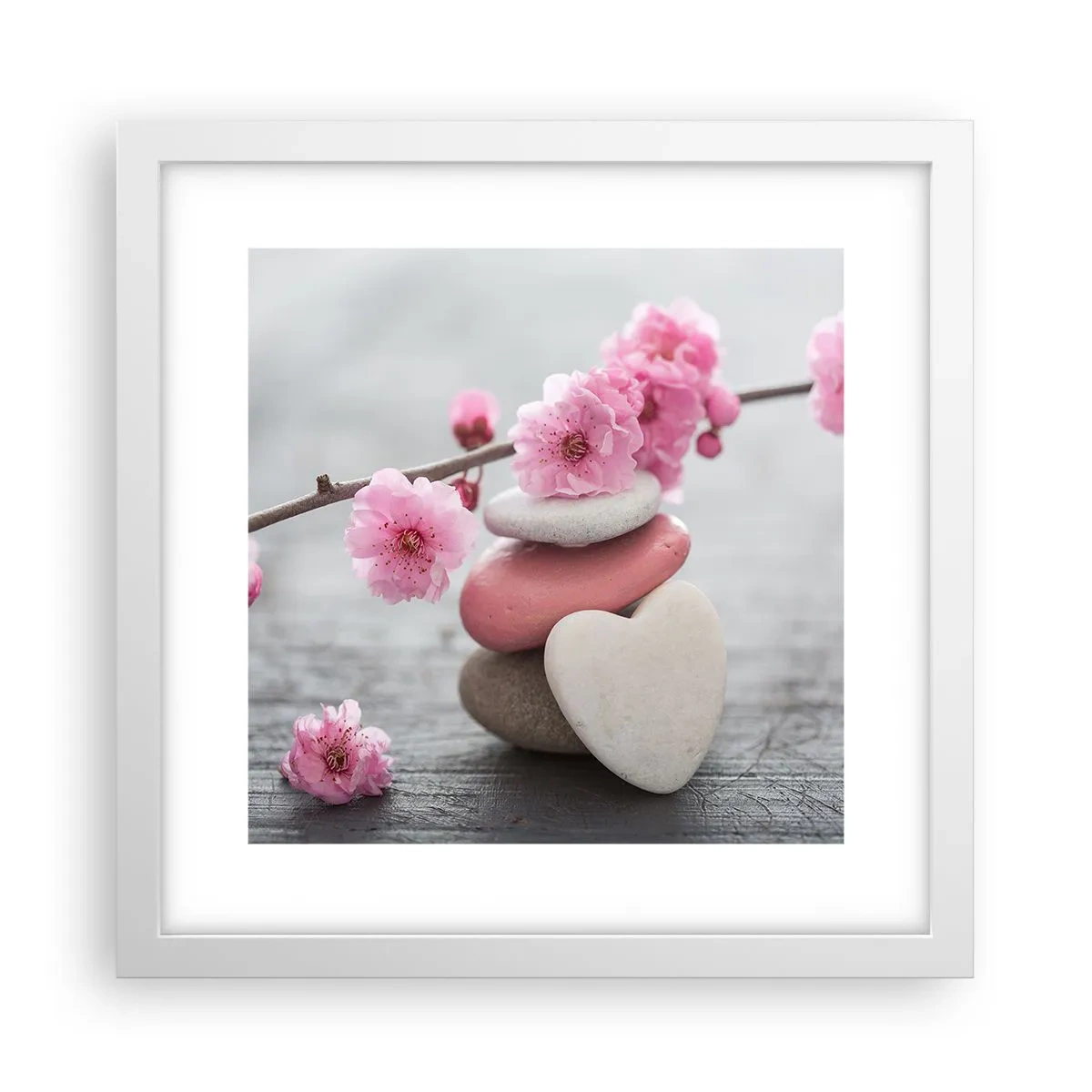 Plakat w białej ramie - Błogość z kwiatem wiśni - 30x30 cm