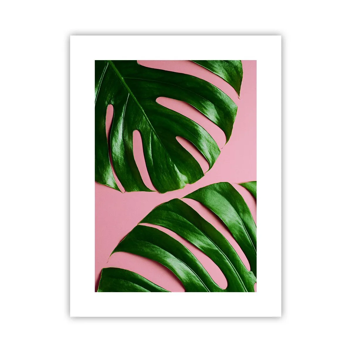 Plakat - Zielone rendez-vous - 30x40 cm
